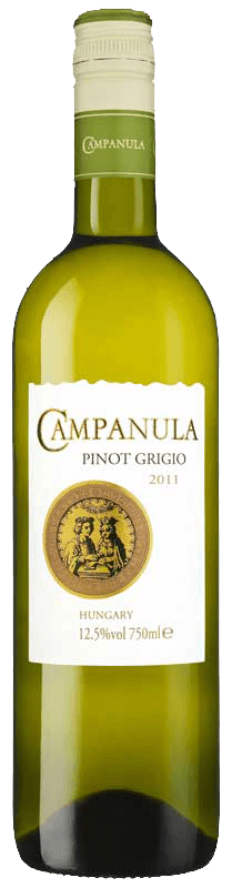 Campanula Pinot Grigio