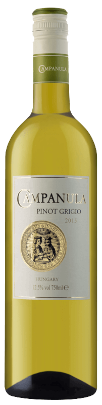 Campanula Pinot Grigio