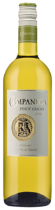 Campanula Pinot Grigio