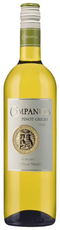 Campanula Pinot Grigio