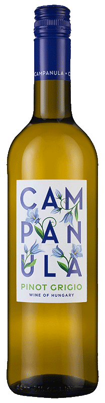 Campanula Pinot Grigio 2022