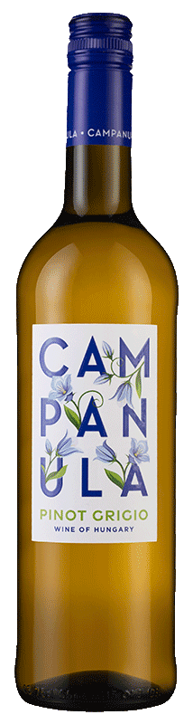 Campanula Pinot Grigio 2022