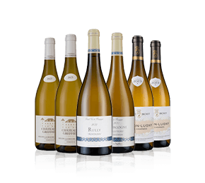 White Burgundy Showcase